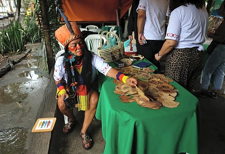 Brazil has record number of Indigenous candidates for general elections