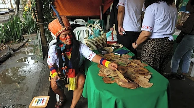 Brazil has record number of Indigenous candidates for general elections