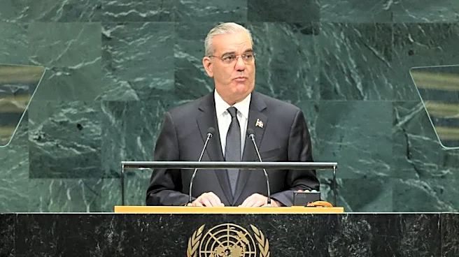 Dominican leader urges UN to step up backing for Haiti mission