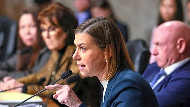 US senators delay effort to permanently ban Chinese cars