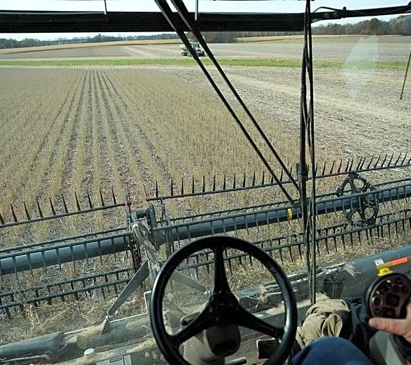 US harvest delays send soy processors scrambling for supplies