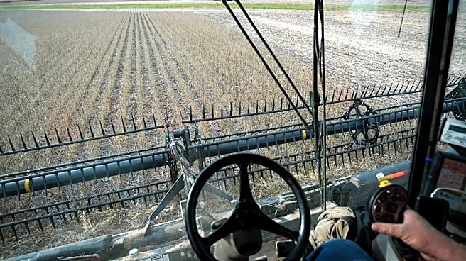 US harvest delays send soy processors scrambling for supplies