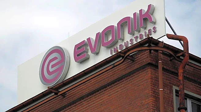 Germany's Evonik rejects BASF's $11.7 billion bid, sources say