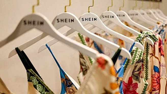 Shares of fast-fashion's Shein plunge 14% to record low after profit slides