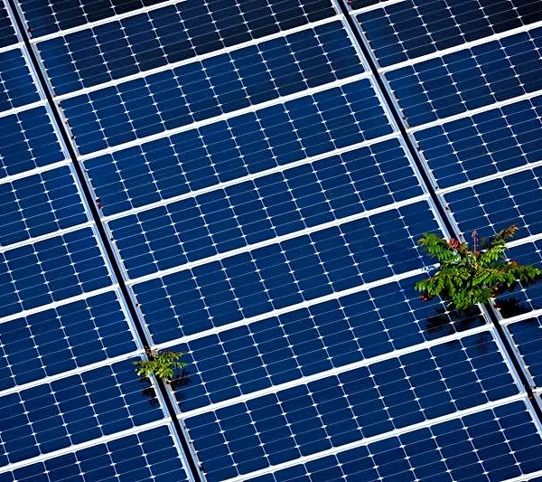 Exclusive-Exus acquires large US solar projects from ibV Energy in data center hot spots Louisiana and Wisconsin