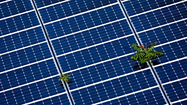 Exclusive-Exus acquires large US solar projects from ibV Energy in data center hot spots Louisiana and Wisconsin