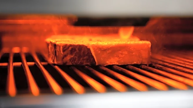 China adds 55% tariff to Brazil beef as imports hit quota