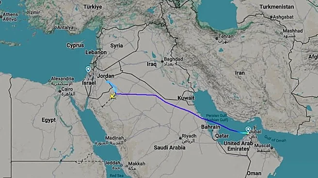 Israeli officials say diverted flydubai incident may be attempted 'terror attack'