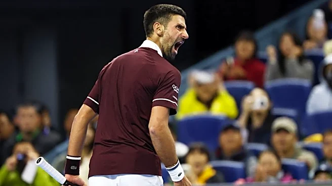 Tennis-Djokovic beats Borges to stay perfect at China Open