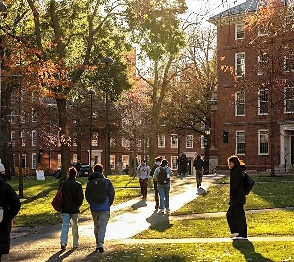 Harvard sued by US agency seeking records in anti-white hiring probe