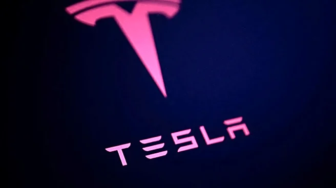 SEC clears Tesla-crafted auto-vote plan for wide use, worrying activists