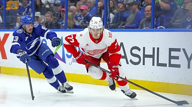 Report: Red Wings D Simon Edvinsson returns to Sweden