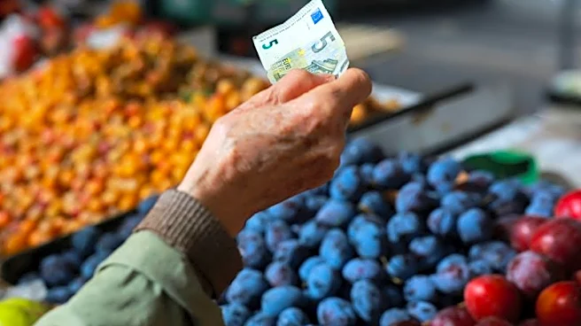 Euro zone inflation surges more than expected, keeping pressure on ECB to hike rates