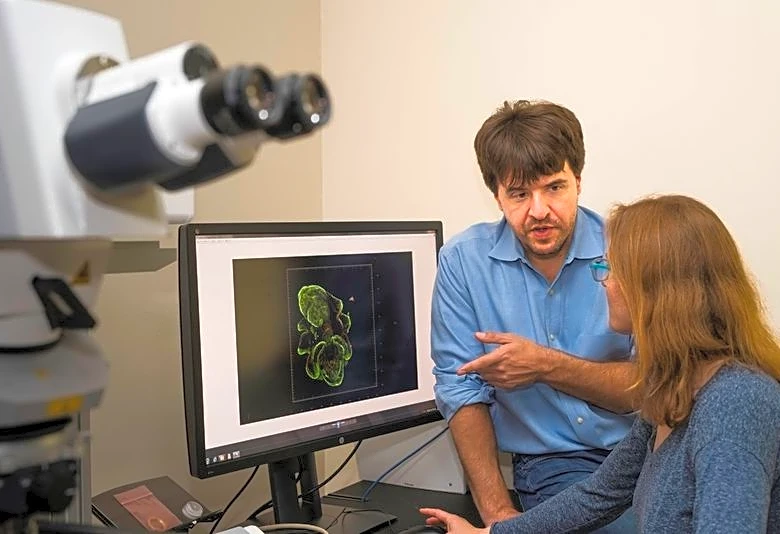 US and German scientists win Nobel medicine prize for work on light and brain