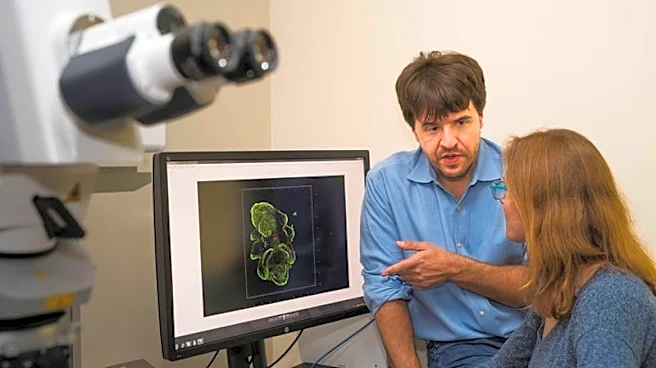 US and German scientists win Nobel medicine prize for work on light and brain