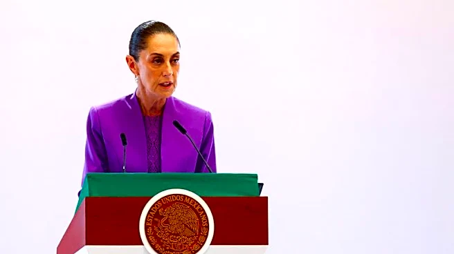 Mexico demands evidence of alleged cross-border shots after US ambassador comments