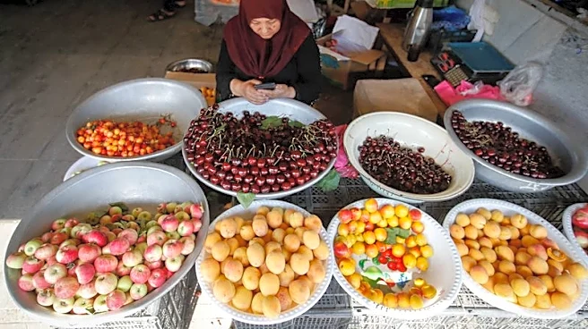 Analysis-With Uzbekistan open for business, investors watch reform staying power