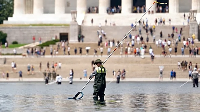 Olympian cleared in vandalism case seeks watchdog probes of Trump's Reflecting Pool project