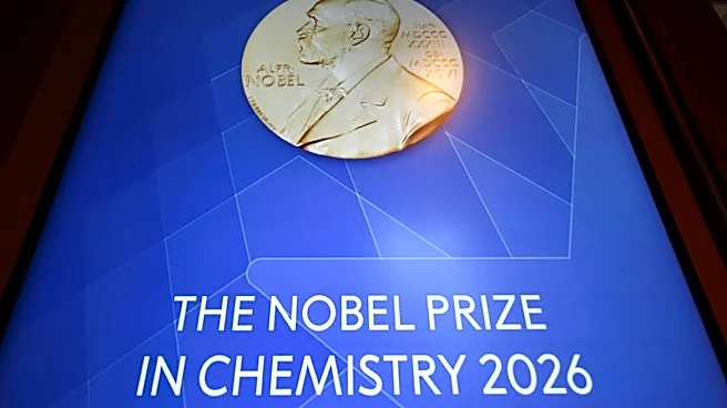 Kagan and Soai win 2026 Nobel chemistry prize
