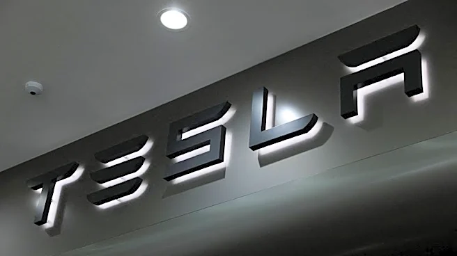 Musk welcomes German backing for Tesla driver assistance tech as group chases EU approval