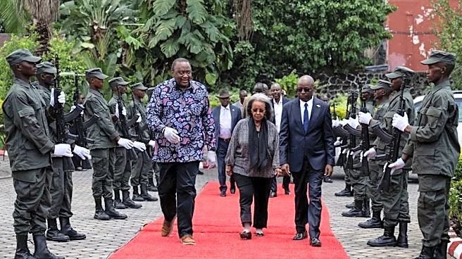 African Union delegation meets Congo rebels, calls for continued peace efforts