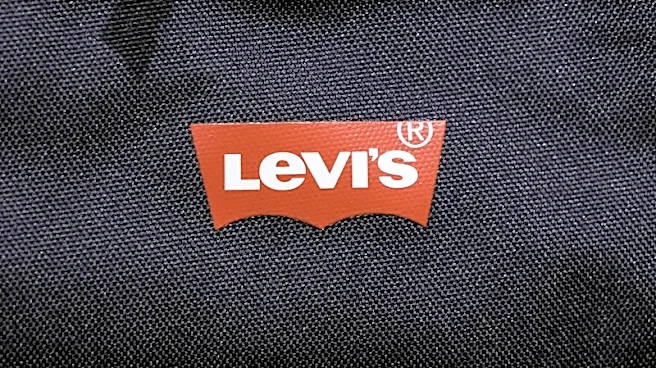 Levi Strauss lifts annual profit outlook on tariff refunds, holiday demand