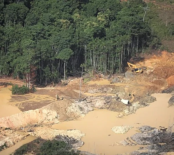 Encroaching energy, mine concessions threaten protected ecosystems, research shows
