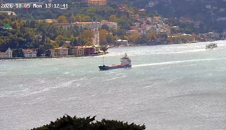 Syria calls for independent probe into sinking of ship in Black Sea