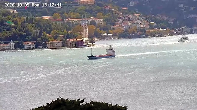 Syria calls for independent probe into sinking of ship in Black Sea