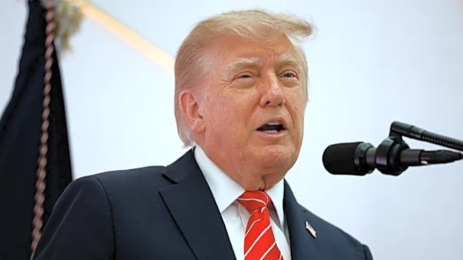 Exclusive-Trump AI task force leaders to meet on Thursday, vice chair says