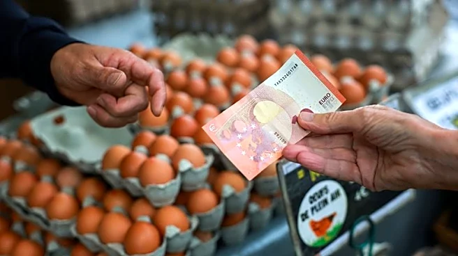 Euro perks up as oil retreats, but set for fifth straight weekly drop