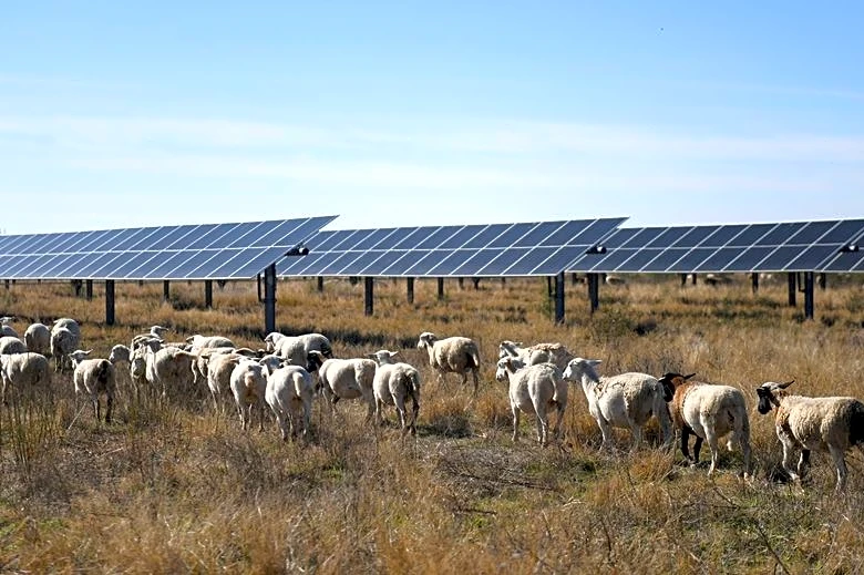 New Trump rules will make it harder for farmers to access US funds for energy projects