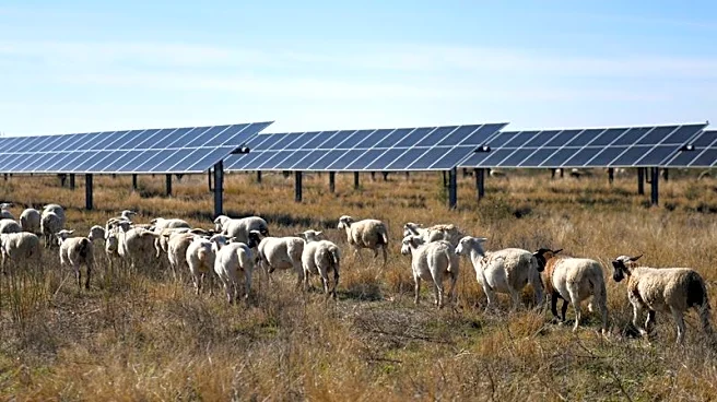 New Trump rules will make it harder for farmers to access US funds for energy projects