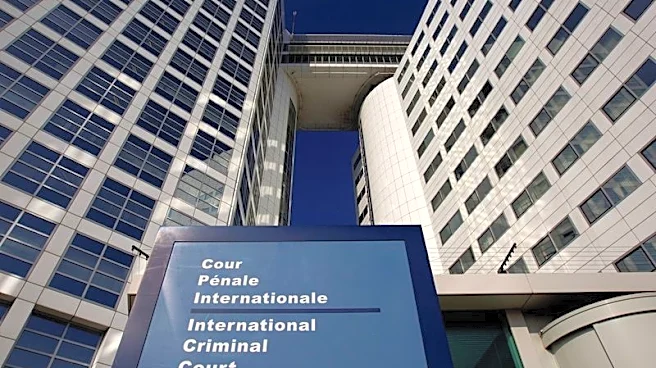 Explainer-What is the International Criminal Court?
