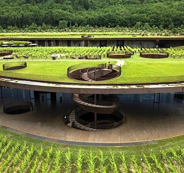 Tuscan winemaker Antinori sees red after $6 million theft