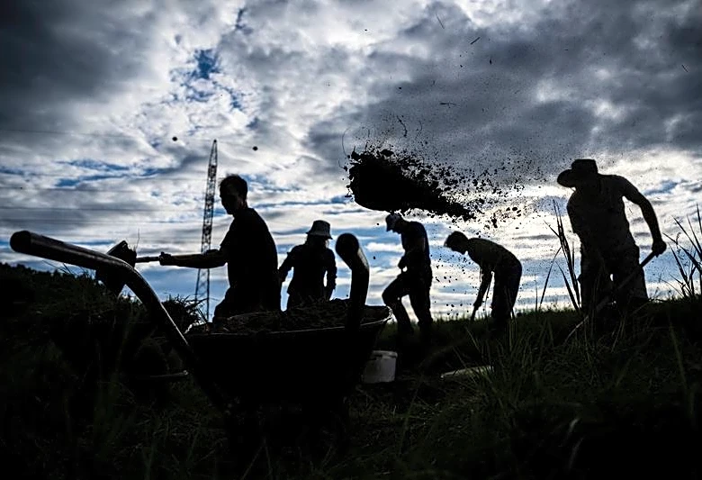In parched Hungary, volunteers build their own dams to hold onto vanishing water