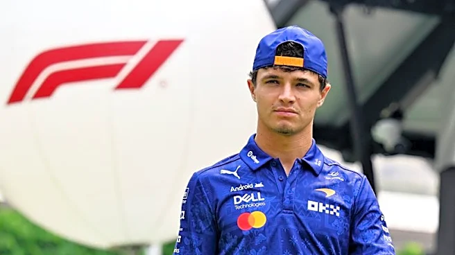 Motor racing-Norris apologises after collision dashes McLaren sprint hopes