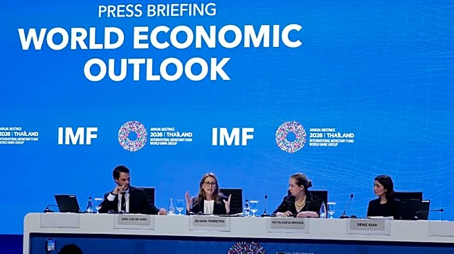 IMF cites AI slowdown, spiking yields as looming global market risks
