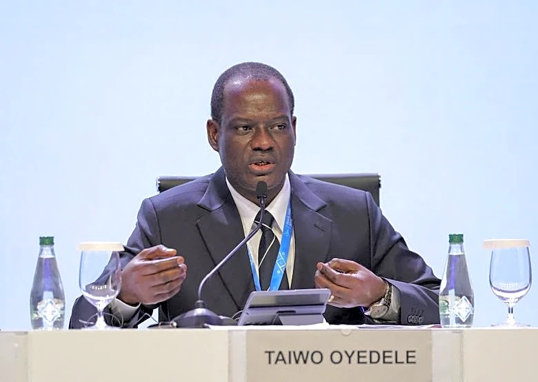 Growing debt burden poses significant risk to developing nations, G24 chair says