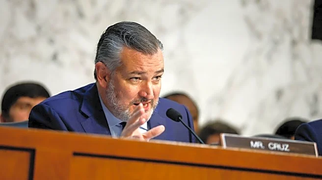 US Senate report says spending on consultants for internet subsidy program tops $200 million annually