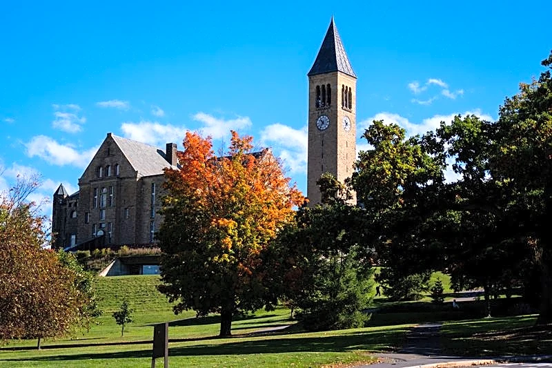 Cornell bans fraternity parties for rest of academic year after alleged gang rape