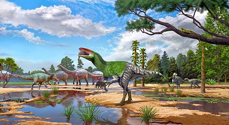 Isle of Wight fossil sheds light on enigmatic meat-eating dinosaurs