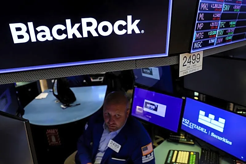 BlackRock profit jumps as resilient markets boost fees