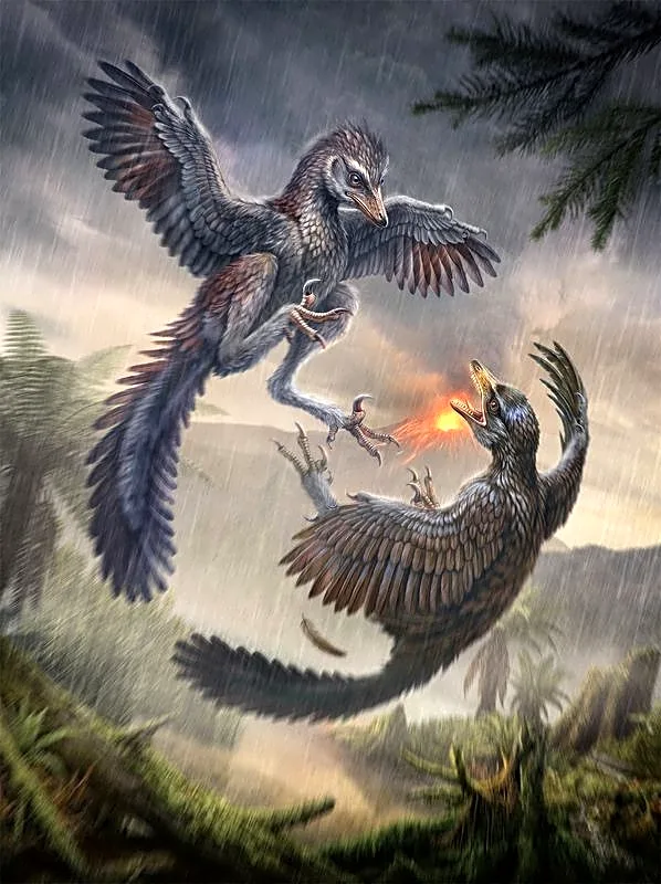 Chinese fossil of bird with undersized wings scrambles avian evolution
