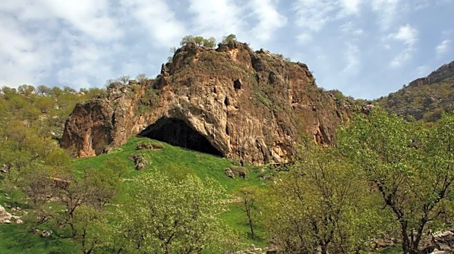 Bones from Iraqi cave hint at violence and compassion in Neanderthals