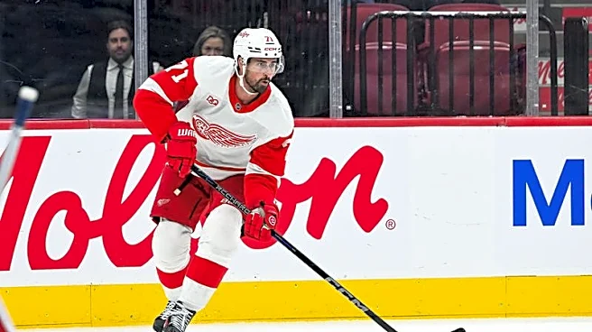 Red Wings owner responds to fan backlash: ‘I understand it’