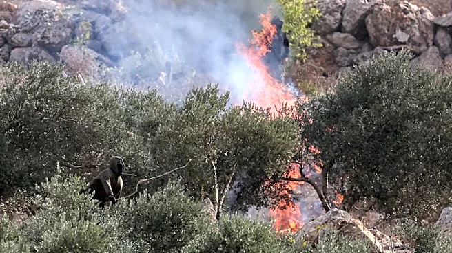 Israeli settlers burn olive trees, injure journalist in West Bank attack