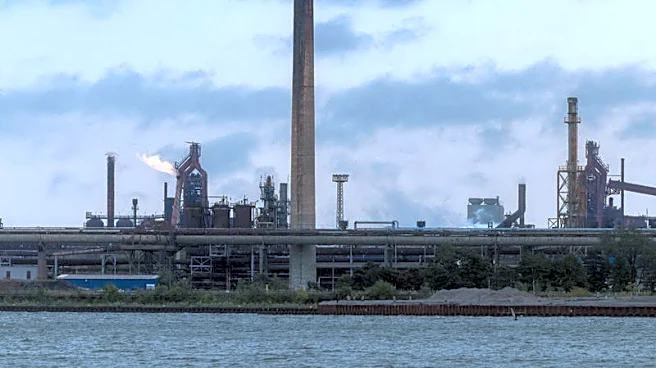 Canadian steelmakers offset some US tariff pain with domestic demand