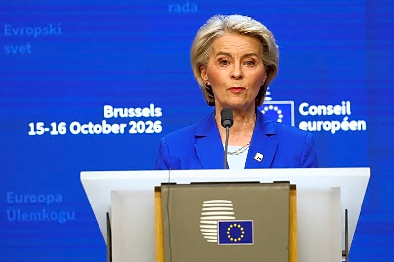 EU to propose import curbs on other Chinese sectors, says EU chief