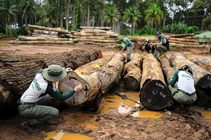 World faces nature reality check at UN biodiversity conference
